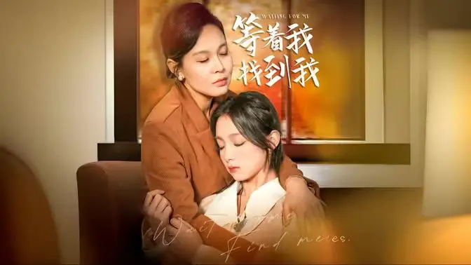 等着我，找到我 海报