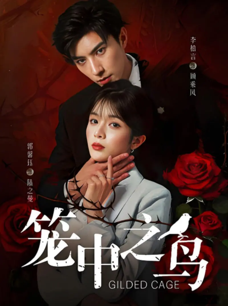 《笼中之鸟》：金丝雀的哀歌，当爱情成为枷锁，闪婚影帝能否拯救？